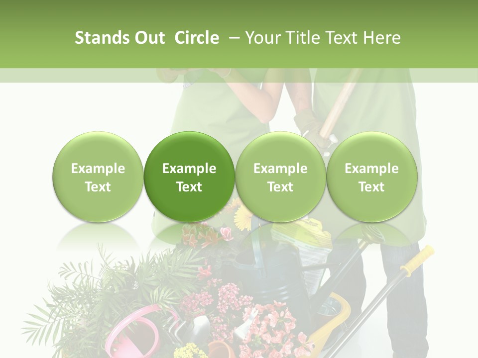 Isolated Nature Young PowerPoint Template