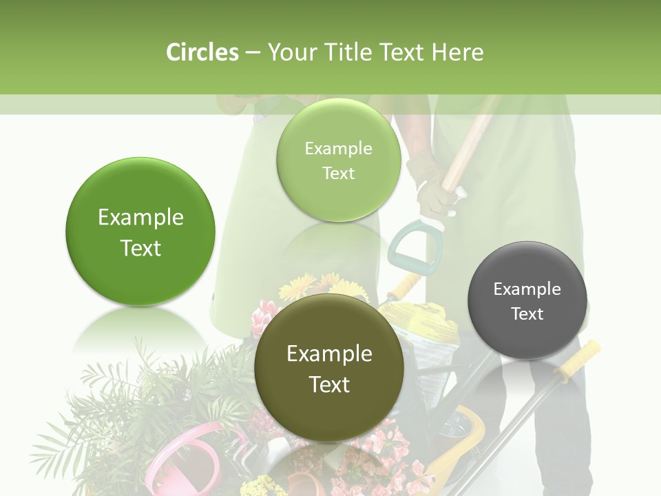 Isolated Nature Young PowerPoint Template