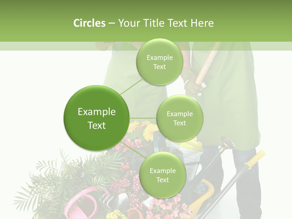 Isolated Nature Young PowerPoint Template