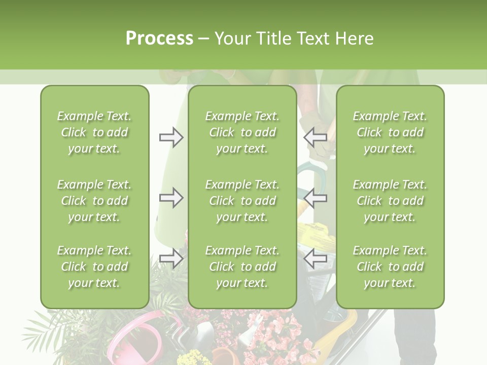 Isolated Nature Young PowerPoint Template