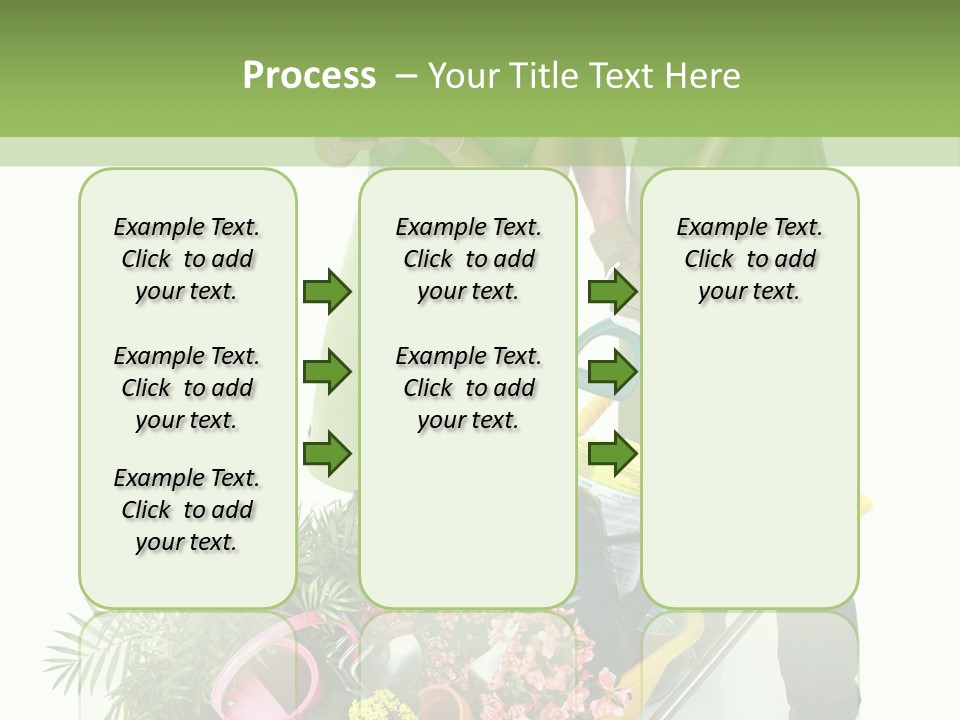 Isolated Nature Young PowerPoint Template