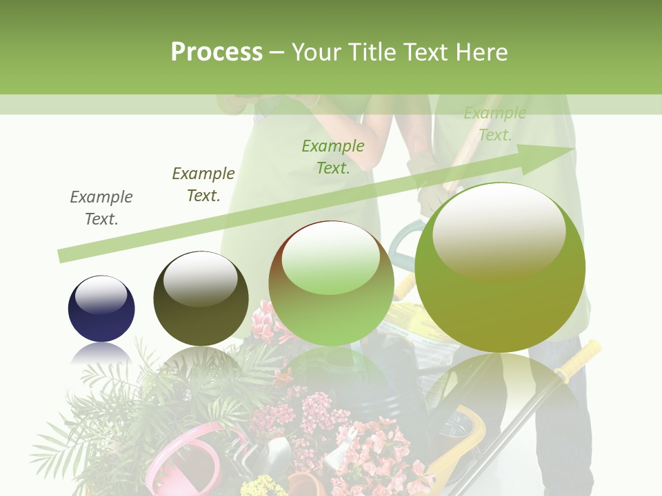 Isolated Nature Young PowerPoint Template