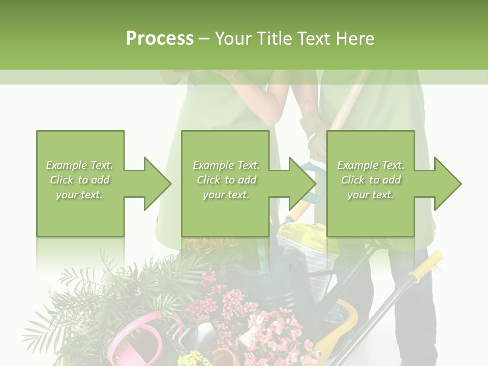 Isolated Nature Young PowerPoint Template