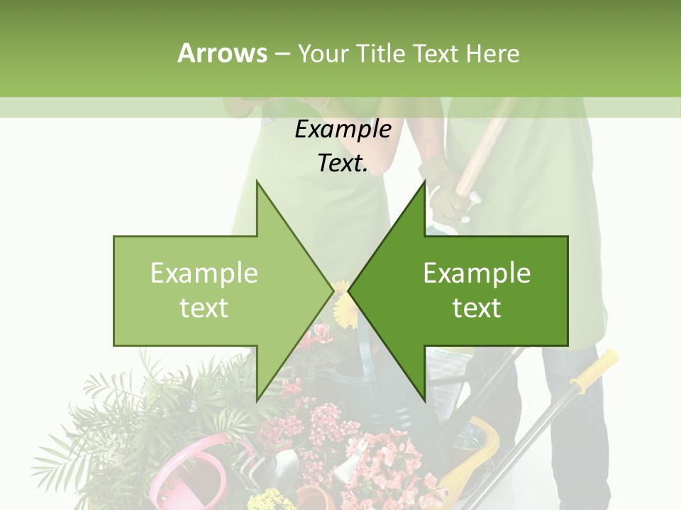 Isolated Nature Young PowerPoint Template