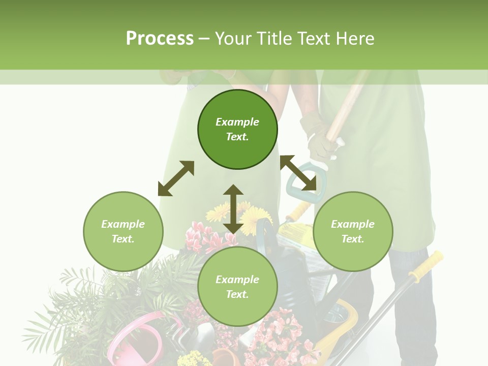 Isolated Nature Young PowerPoint Template