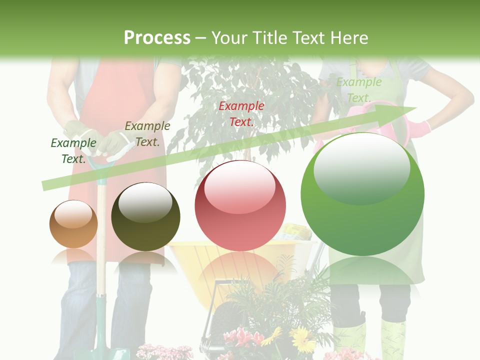 White Smile Graft PowerPoint Template