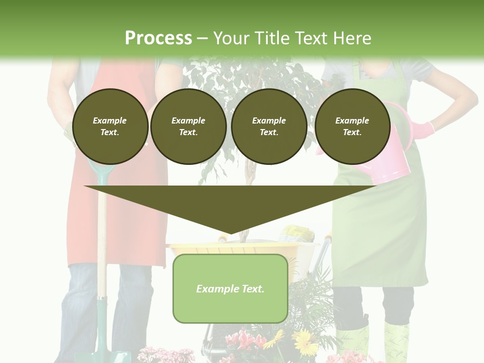 White Smile Graft PowerPoint Template