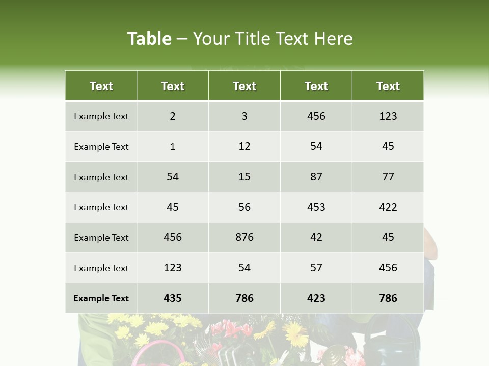 Beautiful Girl Isolated PowerPoint Template