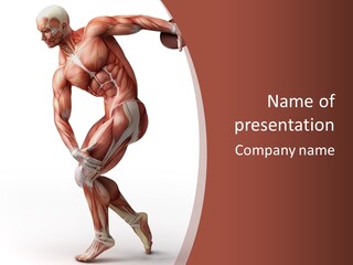 Back Anatomically Health PowerPoint Template