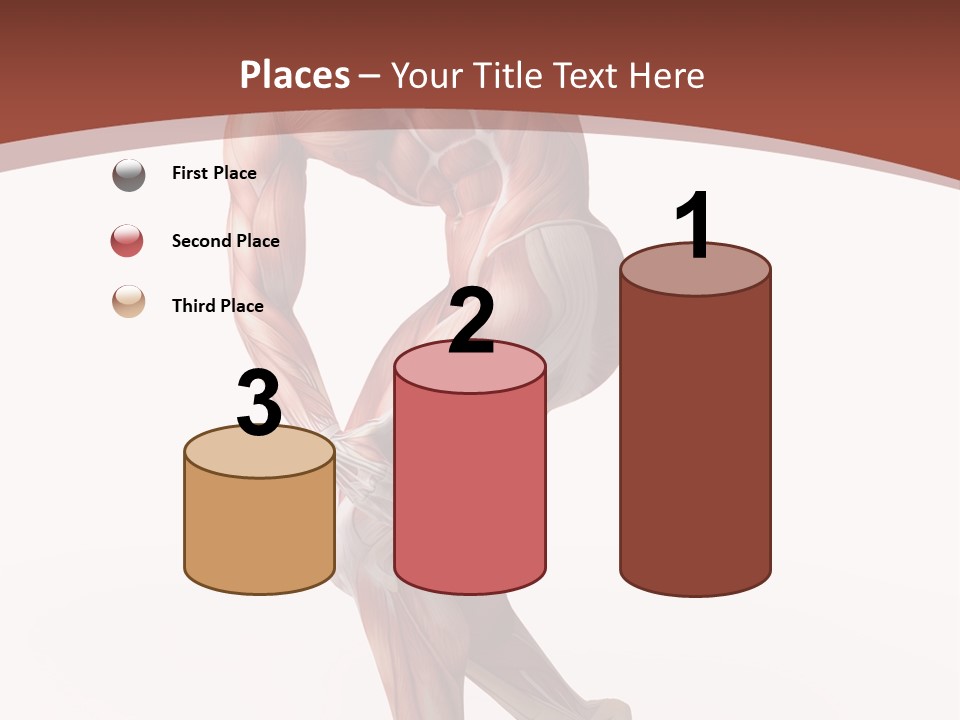 Back Anatomically Health PowerPoint Template