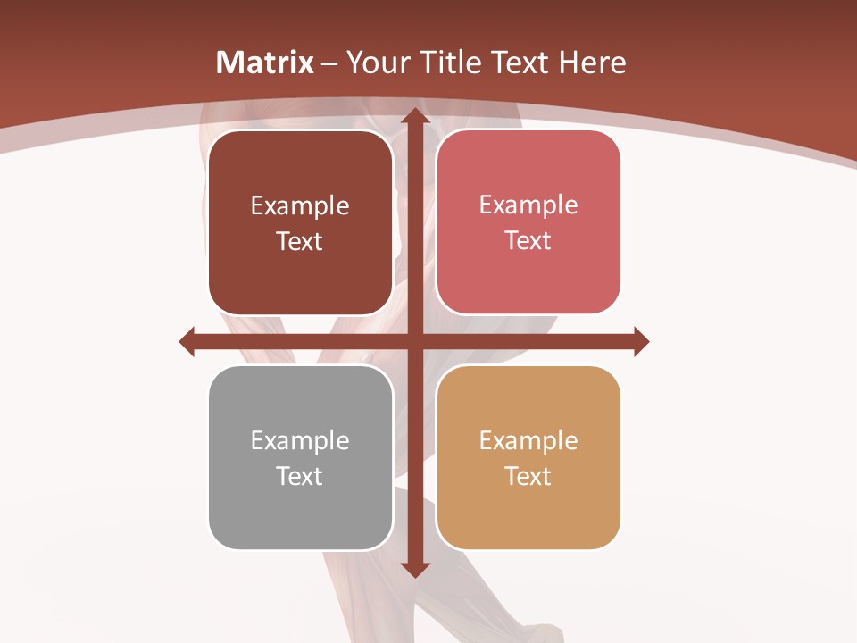 Back Anatomically Health PowerPoint Template