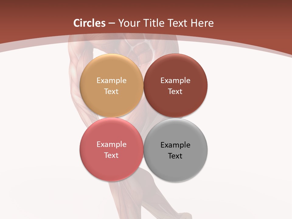 Back Anatomically Health PowerPoint Template