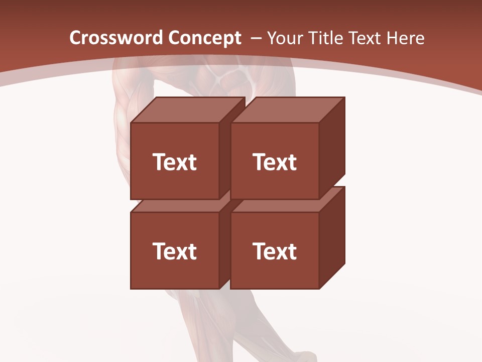 Back Anatomically Health PowerPoint Template