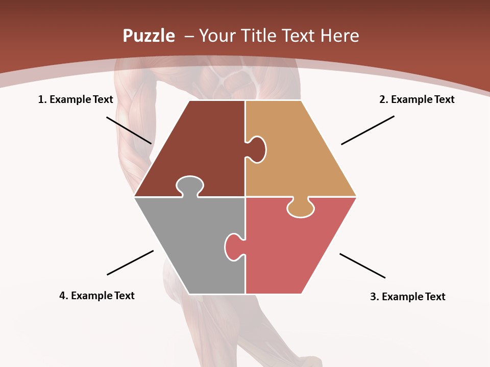 Back Anatomically Health PowerPoint Template