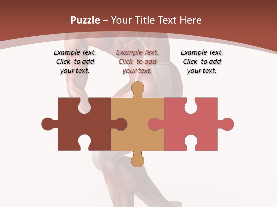 Back Anatomically Health PowerPoint Template