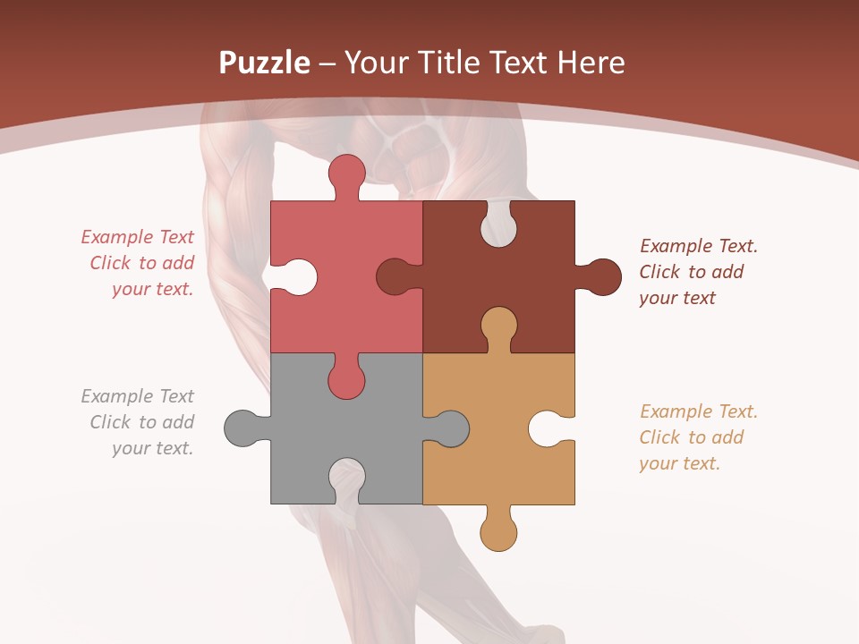 Back Anatomically Health PowerPoint Template