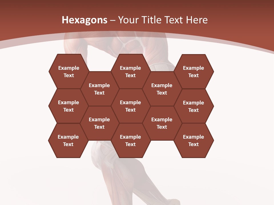 Back Anatomically Health PowerPoint Template