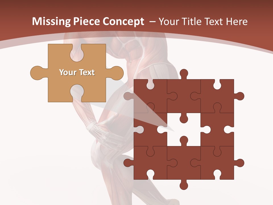 Back Anatomically Health PowerPoint Template