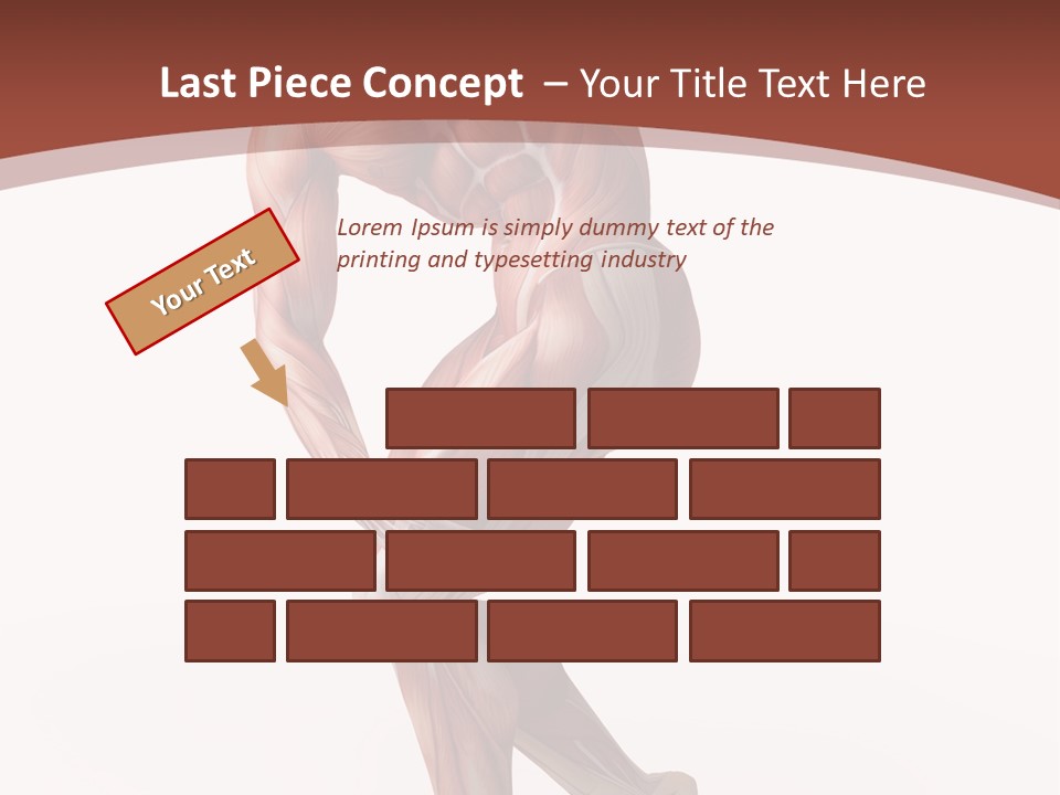 Back Anatomically Health PowerPoint Template