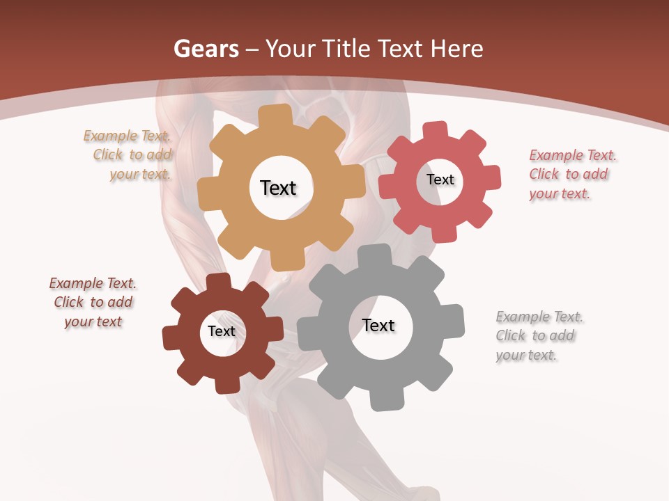 Back Anatomically Health PowerPoint Template