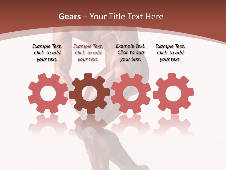 Back Anatomically Health PowerPoint Template