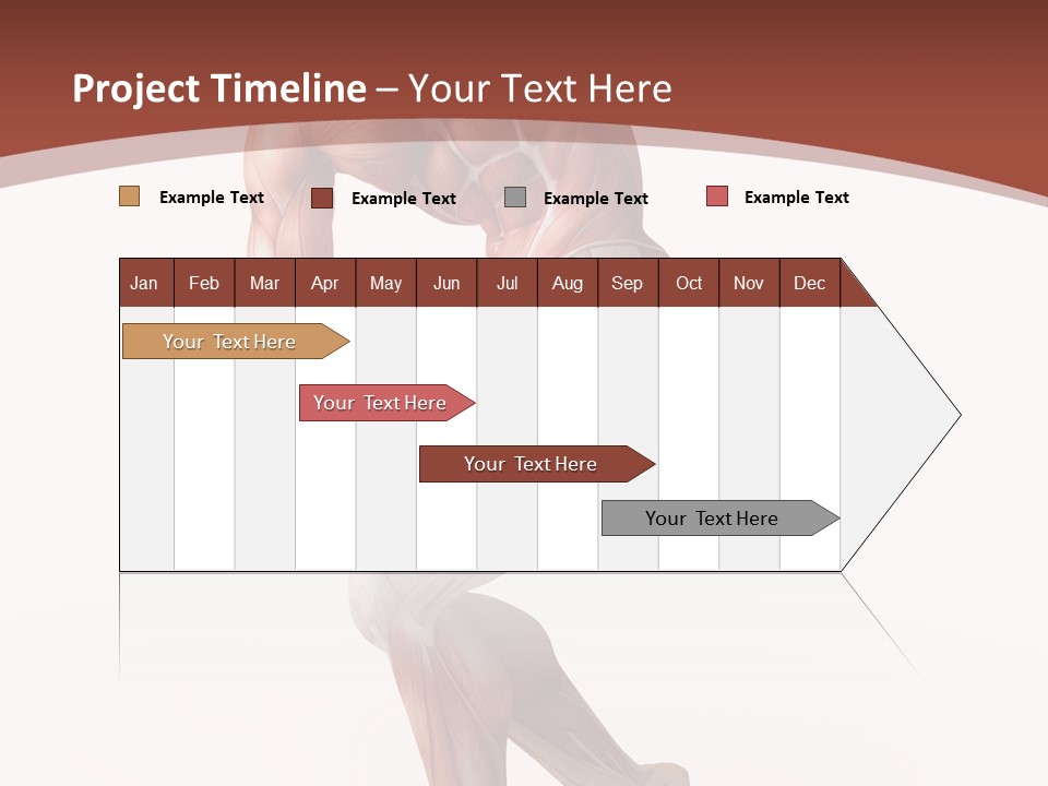 Back Anatomically Health PowerPoint Template