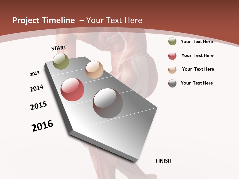 Back Anatomically Health PowerPoint Template