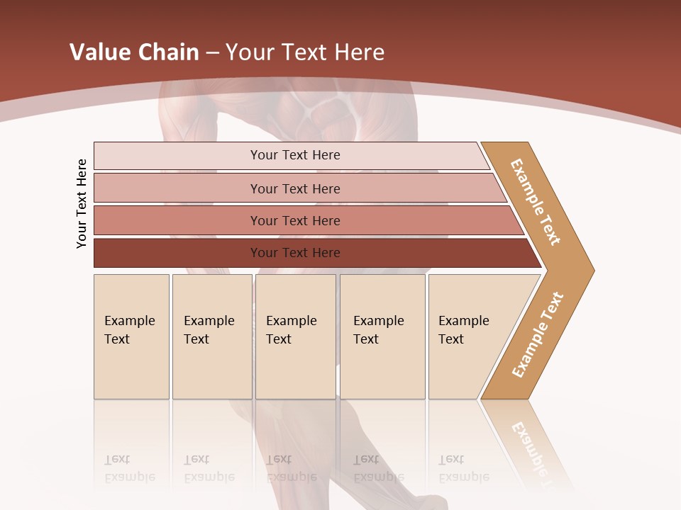 Back Anatomically Health PowerPoint Template