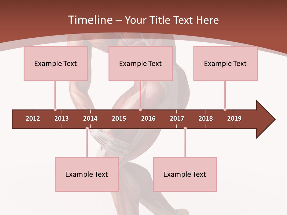Back Anatomically Health PowerPoint Template