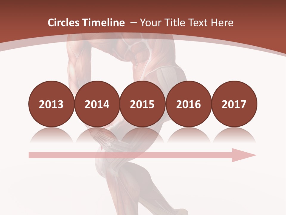 Back Anatomically Health PowerPoint Template