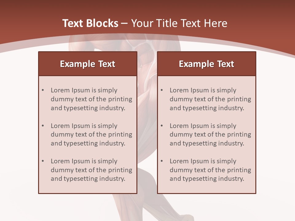 Back Anatomically Health PowerPoint Template