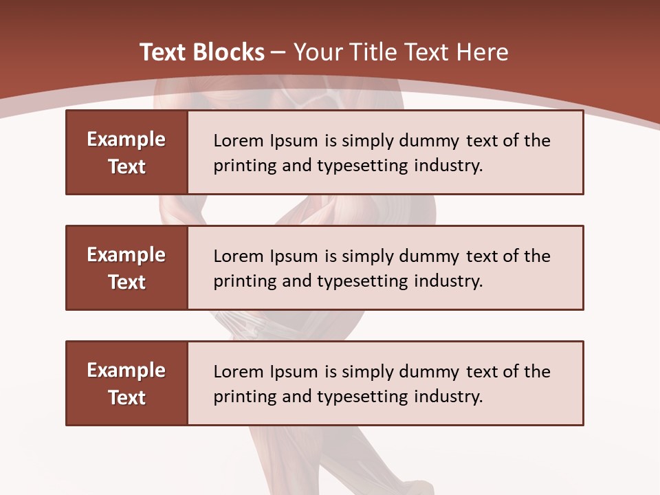 Back Anatomically Health PowerPoint Template