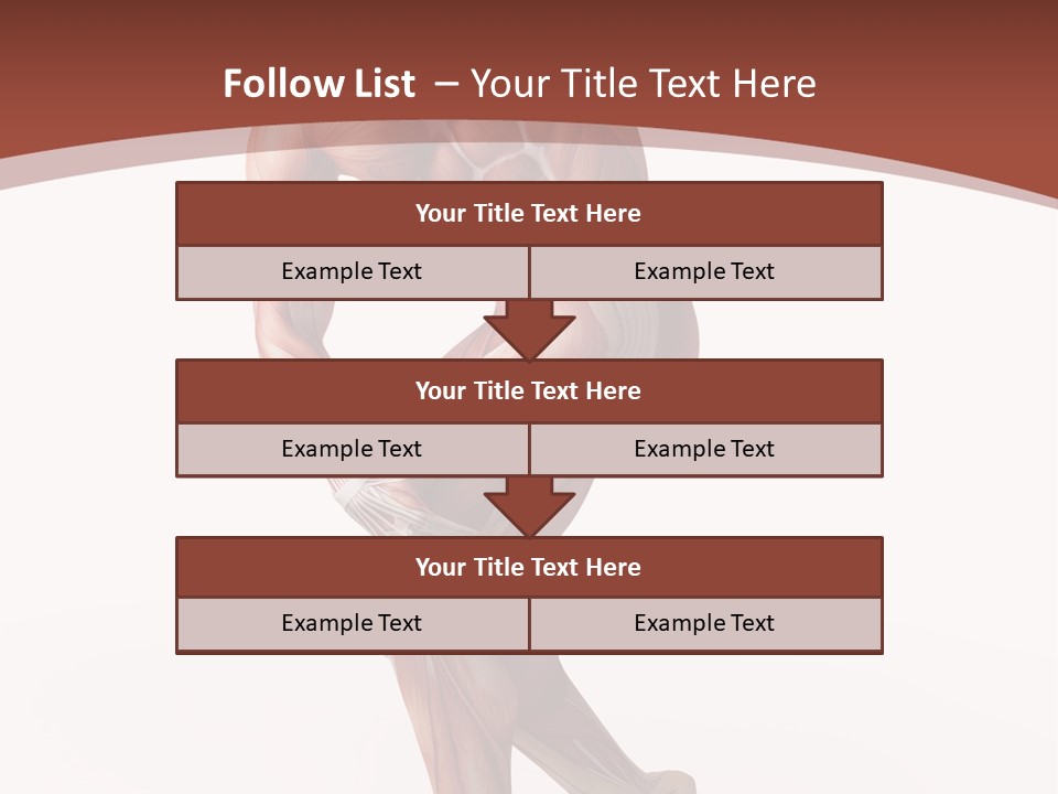 Back Anatomically Health PowerPoint Template