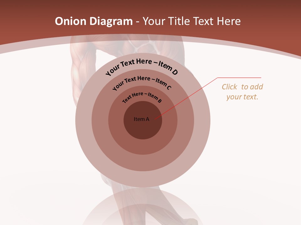 Back Anatomically Health PowerPoint Template