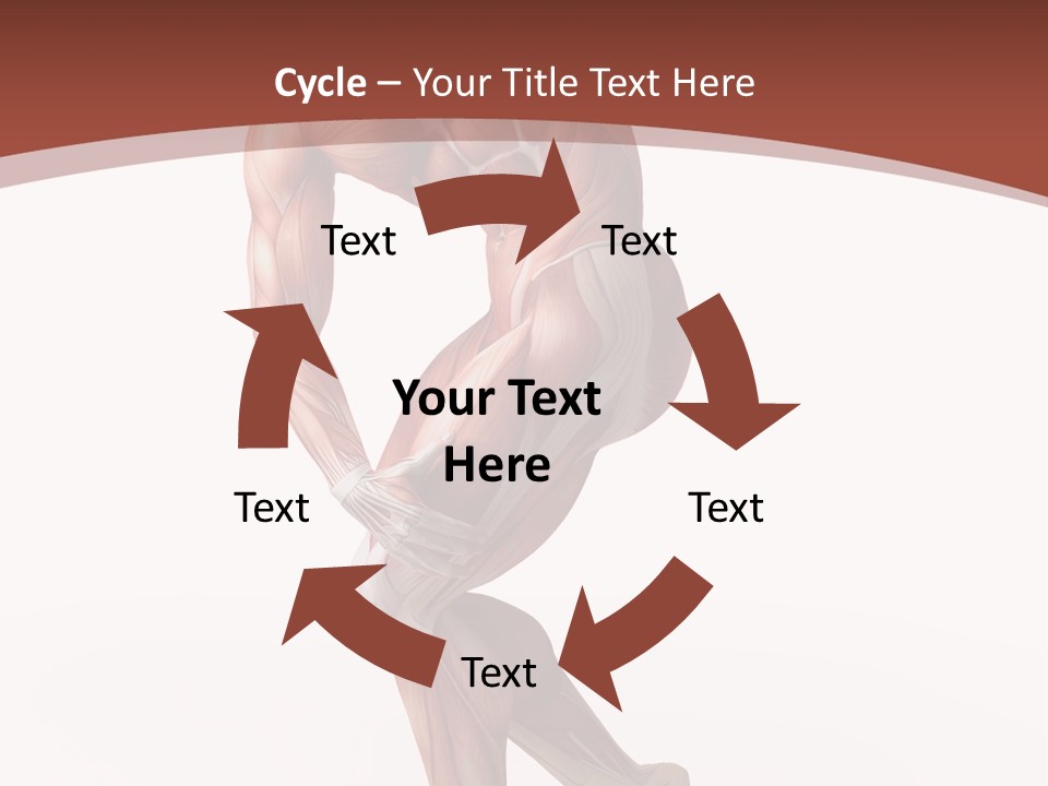 Back Anatomically Health PowerPoint Template