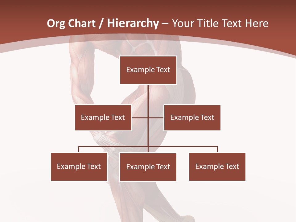 Back Anatomically Health PowerPoint Template