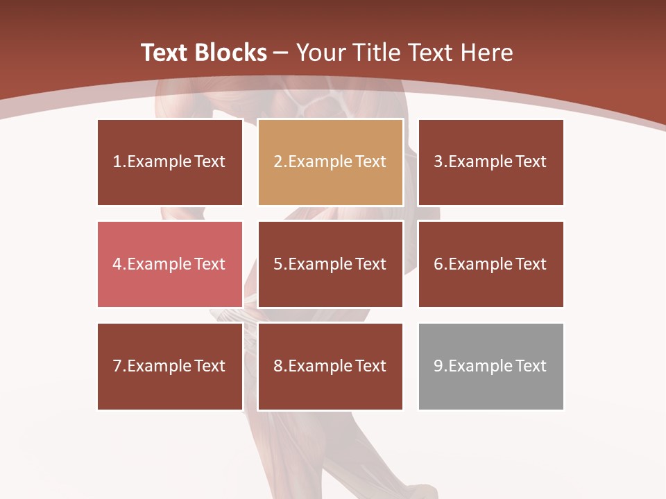 Back Anatomically Health PowerPoint Template