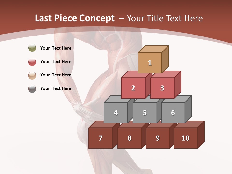 Back Anatomically Health PowerPoint Template