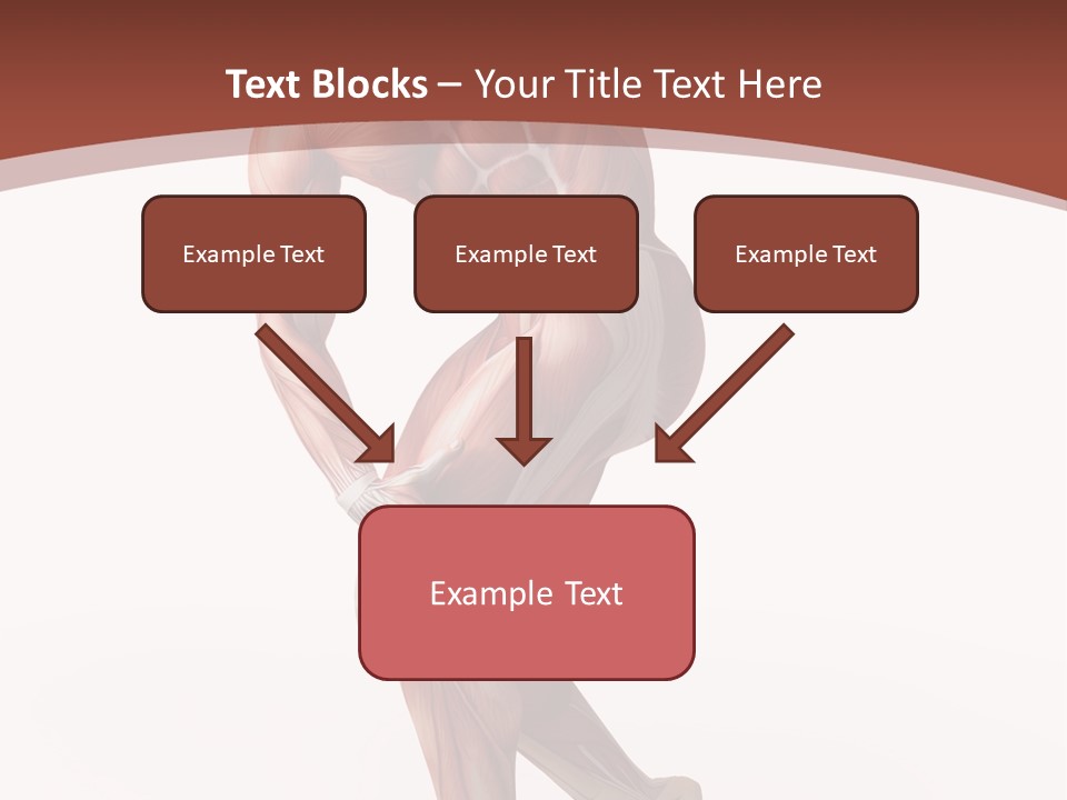 Back Anatomically Health PowerPoint Template