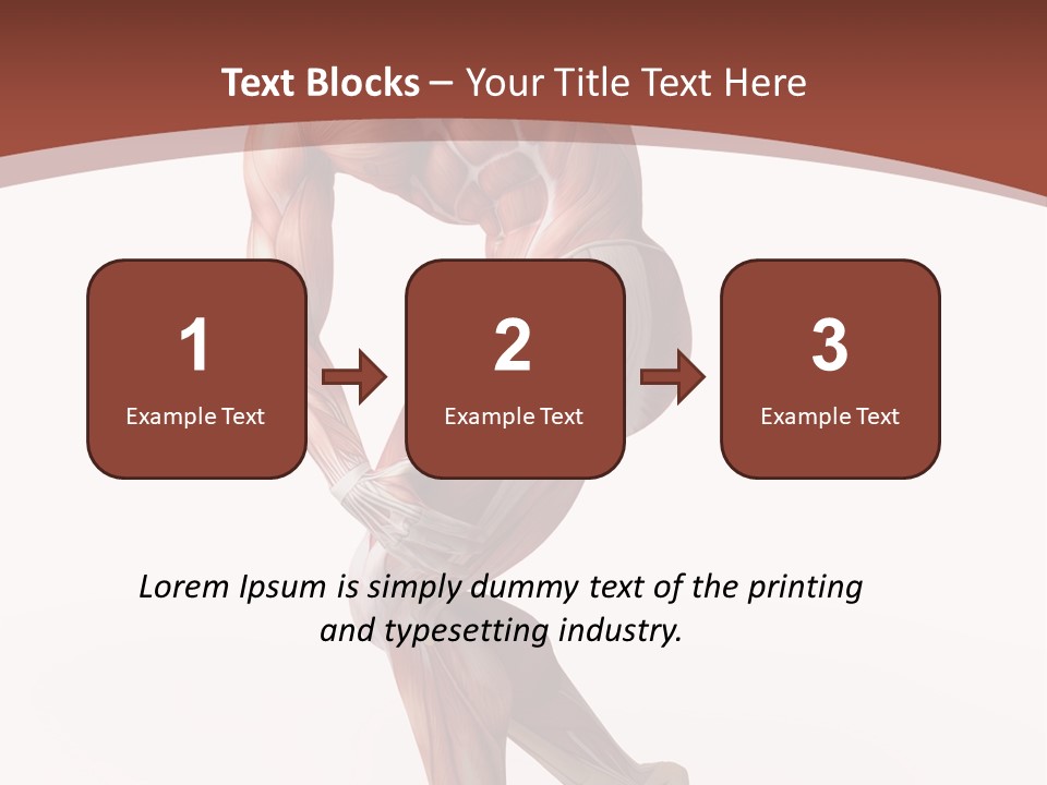 Back Anatomically Health PowerPoint Template