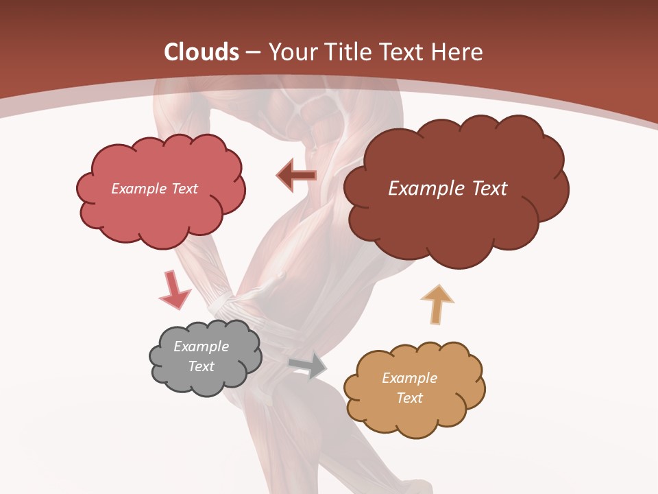 Back Anatomically Health PowerPoint Template