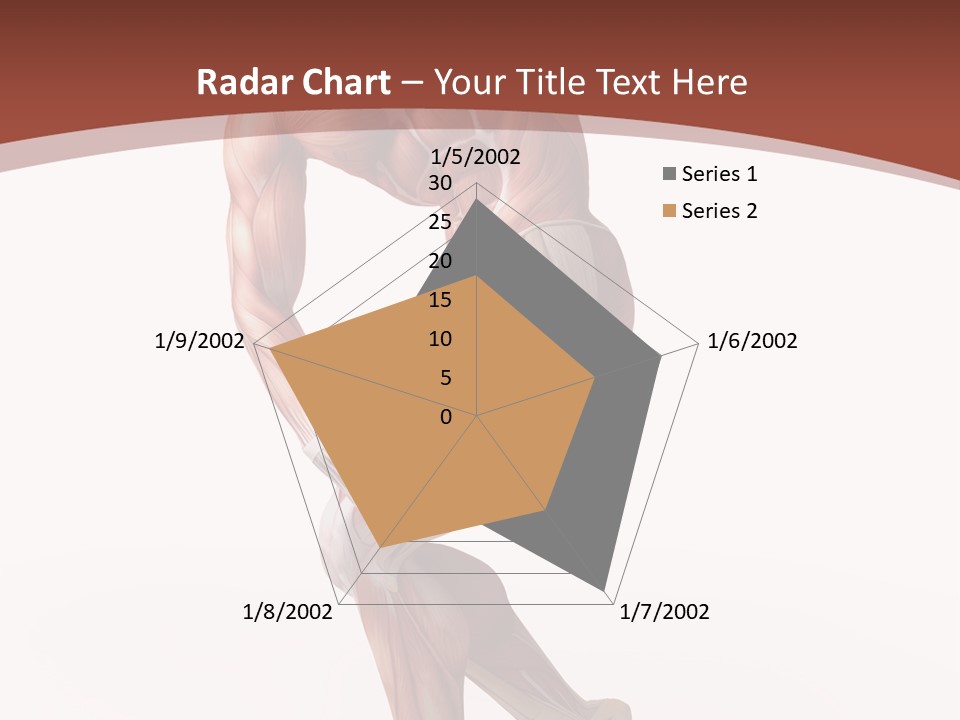 Back Anatomically Health PowerPoint Template