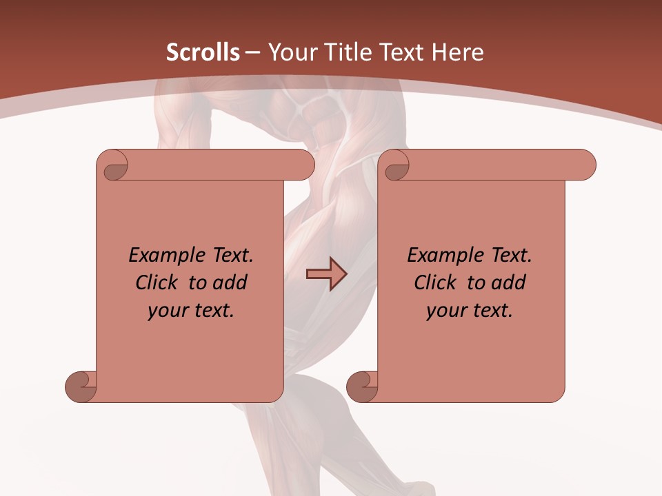 Back Anatomically Health PowerPoint Template