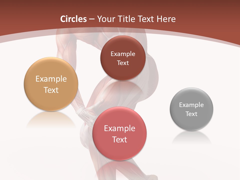 Back Anatomically Health PowerPoint Template