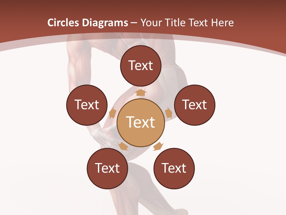 Back Anatomically Health PowerPoint Template