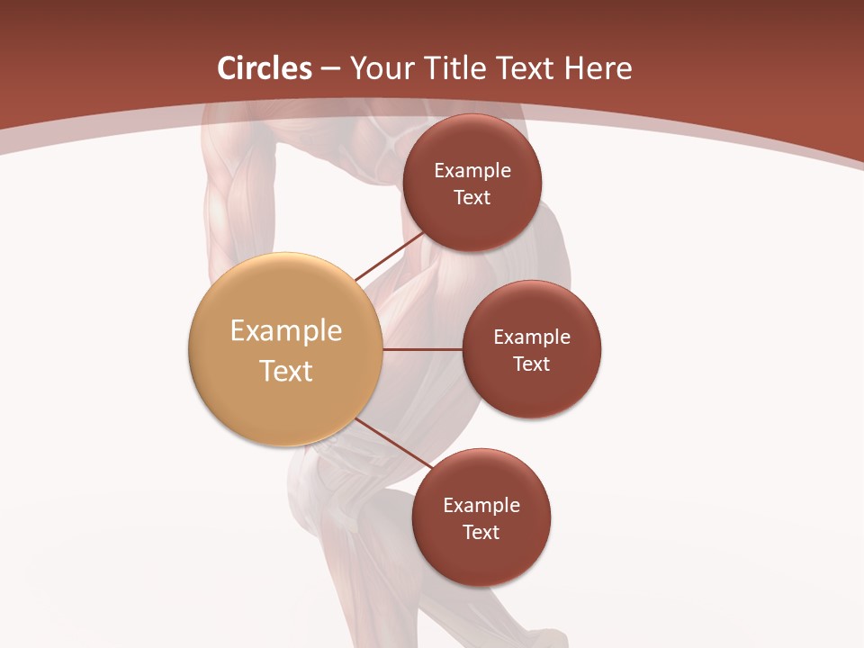 Back Anatomically Health PowerPoint Template