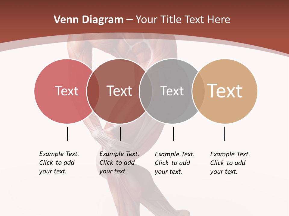 Back Anatomically Health PowerPoint Template