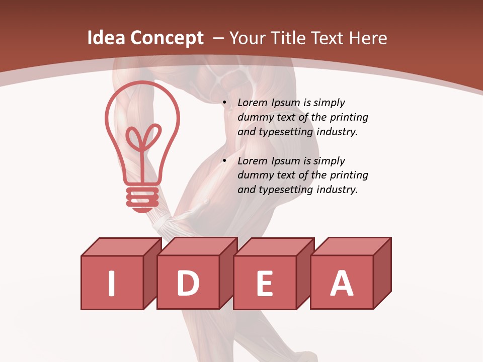 Back Anatomically Health PowerPoint Template