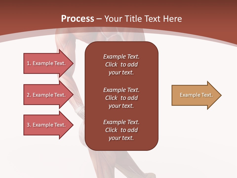 Back Anatomically Health PowerPoint Template
