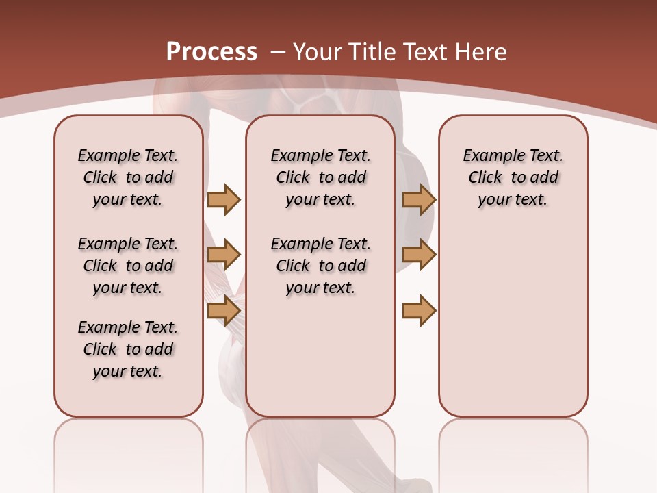 Back Anatomically Health PowerPoint Template